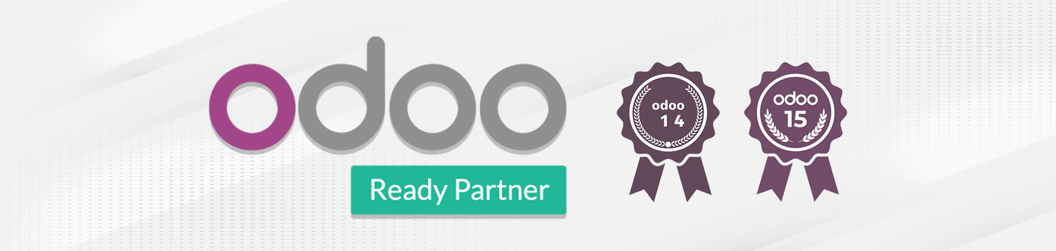 odoo partner (odoo partner in usa)